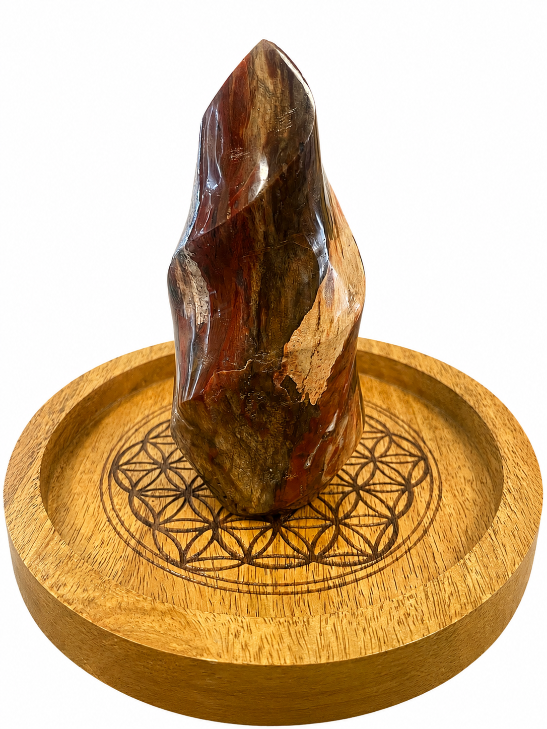 🔥 Flamme en Bois Fossilisé – Pièce unique