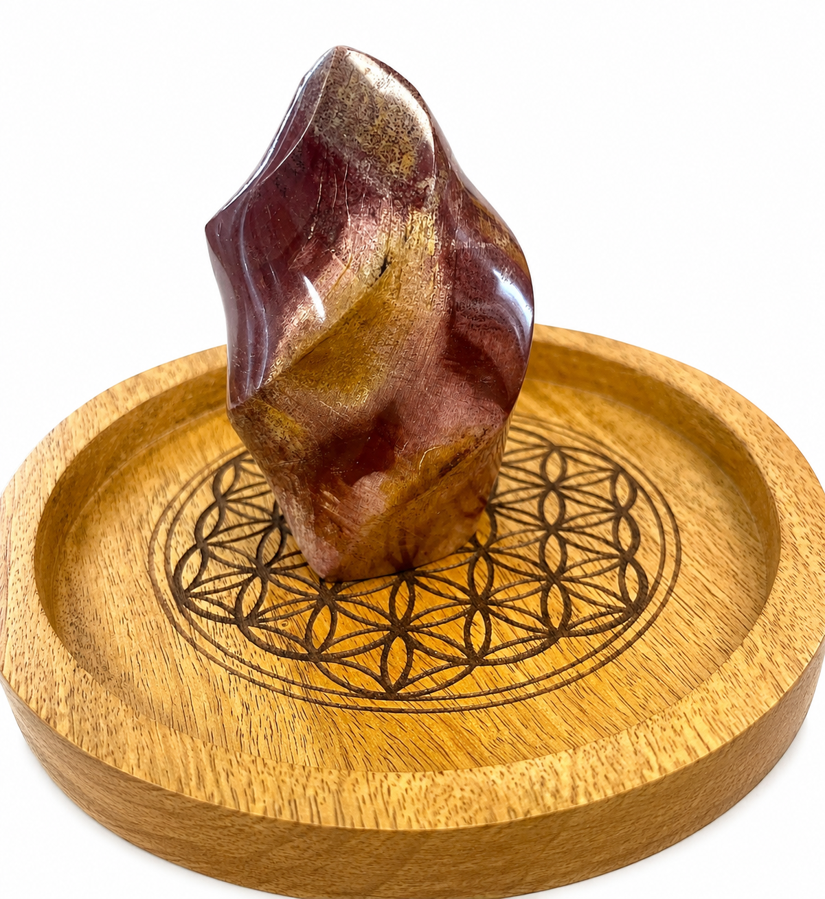🔥 Flamme en Bois Fossilisé naturel – Pièce unique