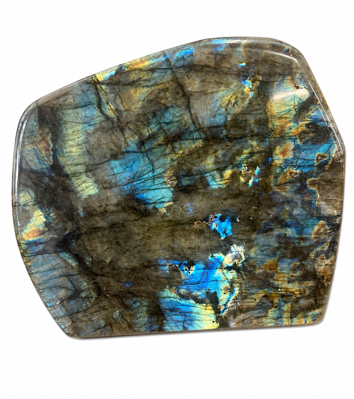 Labradorite forme libre – Grande pièce de collection – Reflets bleus & dorés ✨
