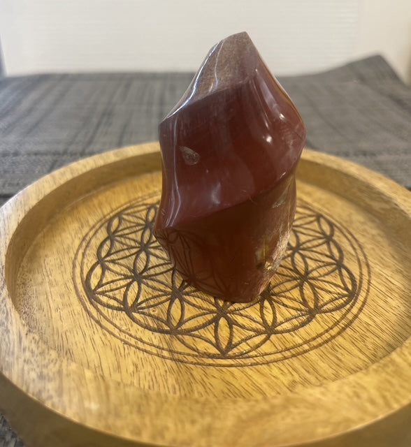 🔥 Flamme en Bois Fossilisé naturel – Pièce unique