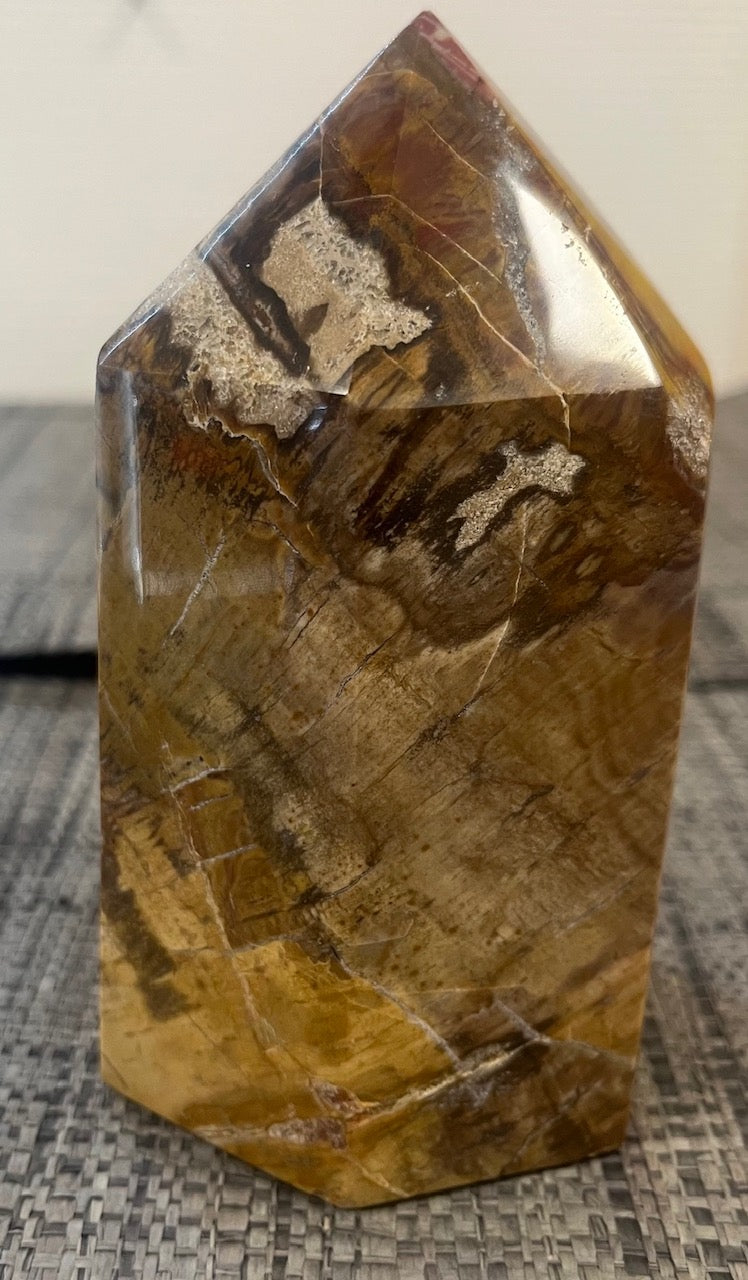 🌳 Pointe en Bois Fossilisé naturel