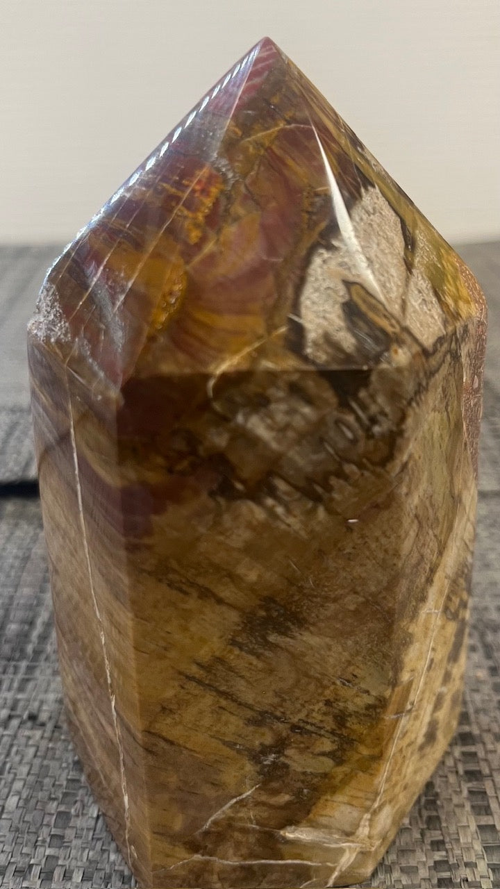 🌳 Pointe en Bois Fossilisé naturel