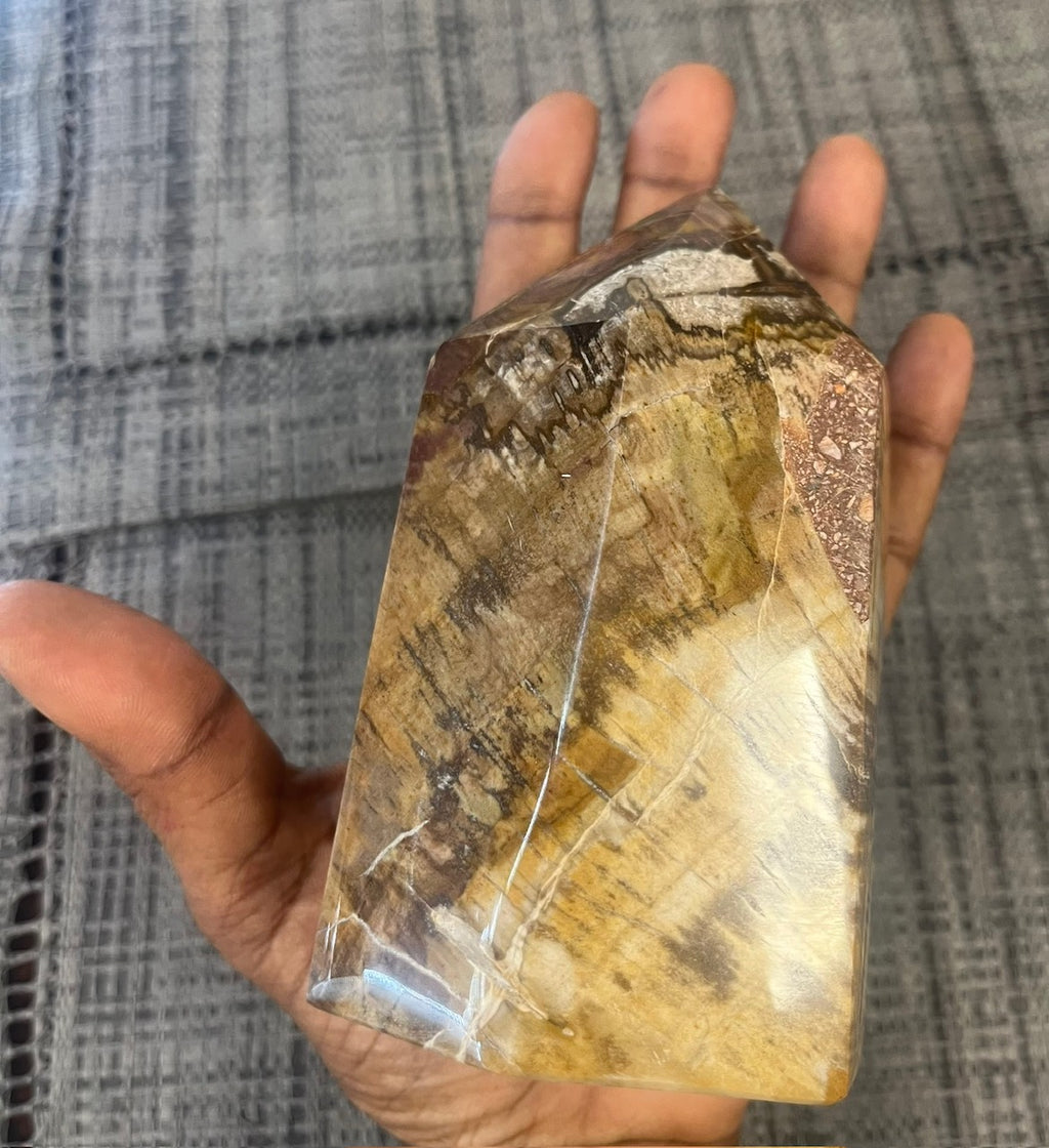 🌳 Pointe en Bois Fossilisé naturel