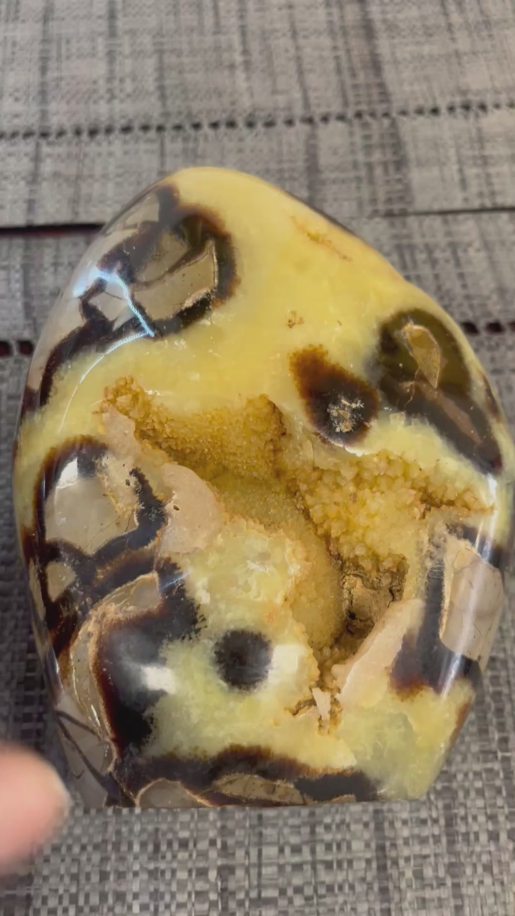 💛 Septaria naturelle forme libre avec cavité cristallisée – 1,961 kg – Pièce unique