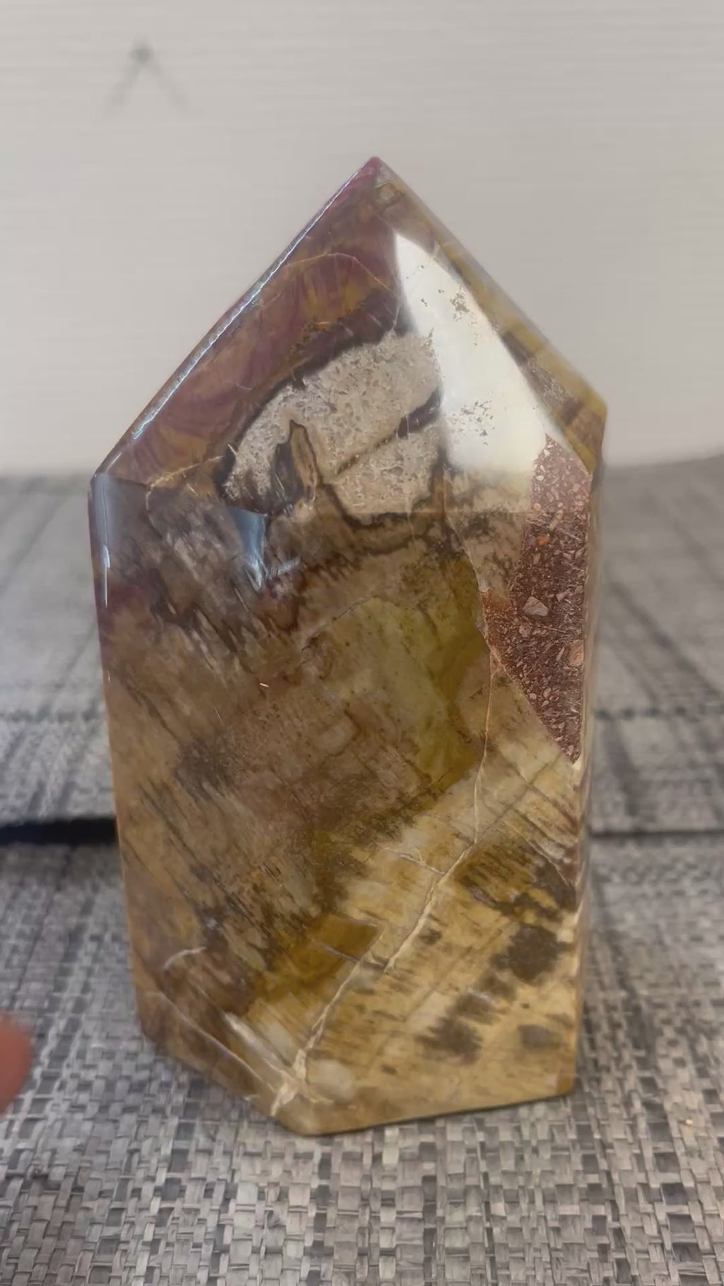 🌳 Pointe en Bois Fossilisé naturel